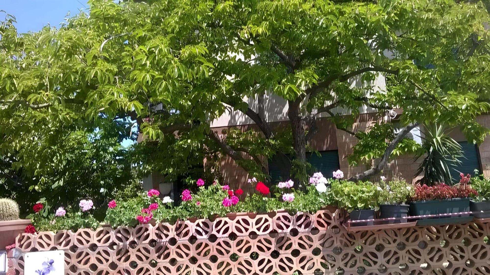 Bed and Breakfast Bb Le Violette Tortolì Zewnętrze zdjęcie
